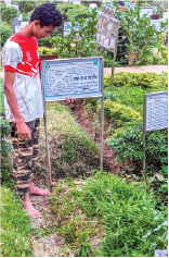 Memorial Photo